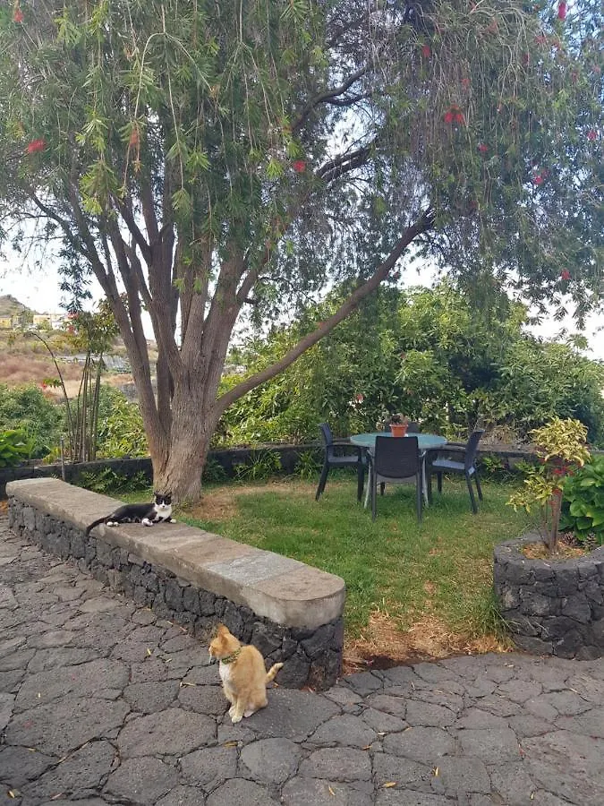 Corral De Payo Grande Guest House Brena Baja 0*,  Spain